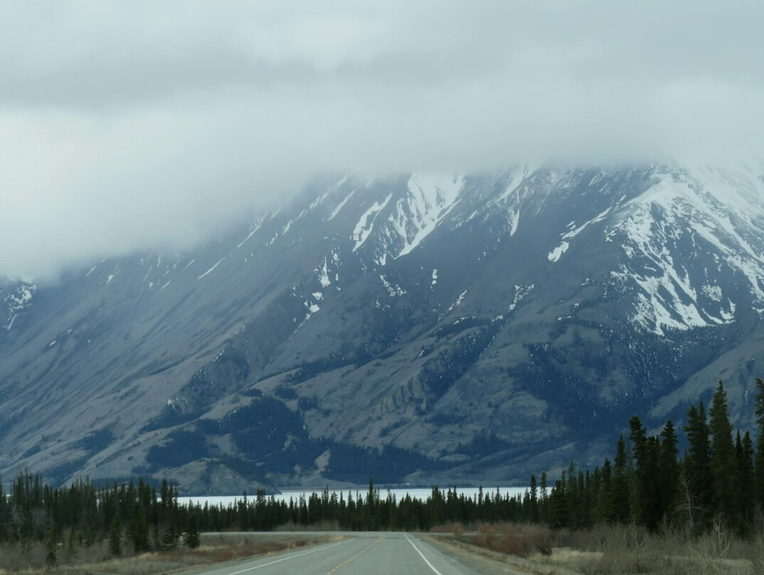 Open road through a forested Canadian landscape under a clear sky